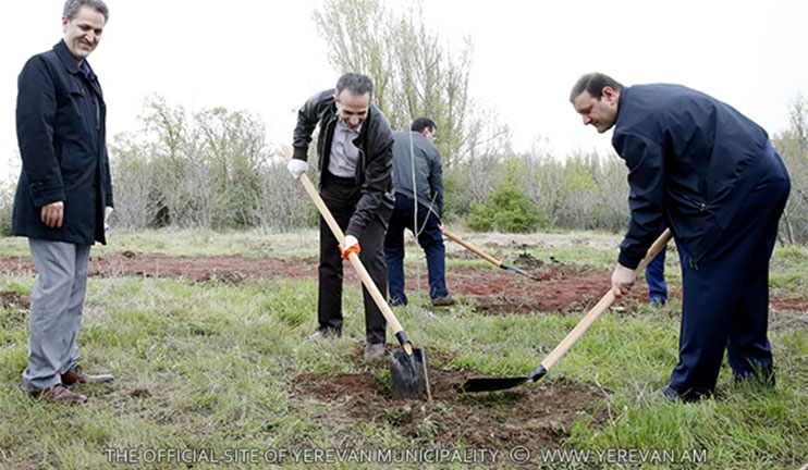 More than 500 trees were planted in the nearby forests of Tsitsernakabert