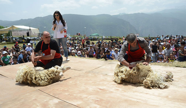 The annual sheep cropping competition took place in Tatev