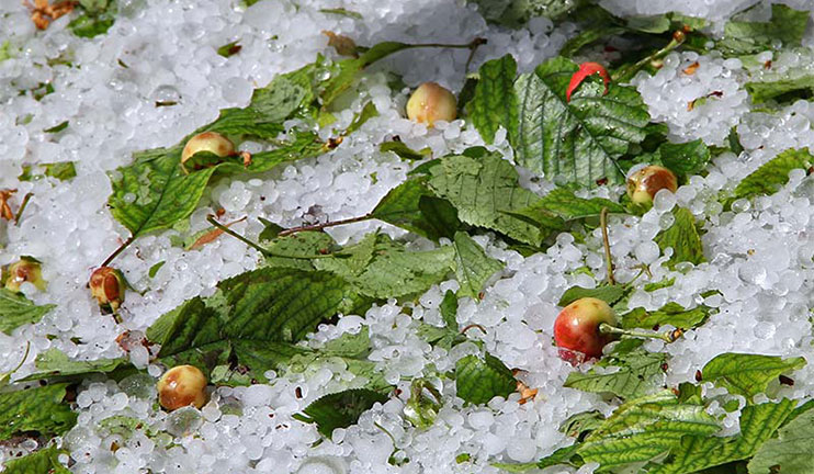 There was an incredibly strong hail in Tavush and Lori Regions