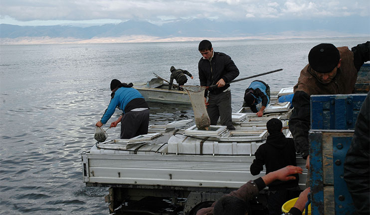 To restore endemic species of trout fish hatcheries will be built with the support of the Government