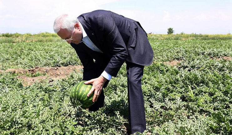 The Minister of Agriculture watched the harvest in Armavir region