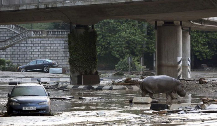 Tbilisi a week after the ruinous flood