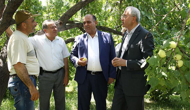 The harvest works have started in the regions of Armenia