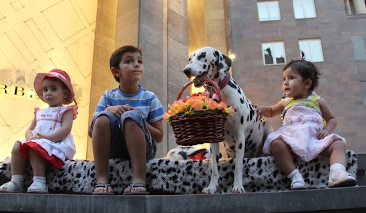 The story of the dog named Mimi and known to all Yerevan residents