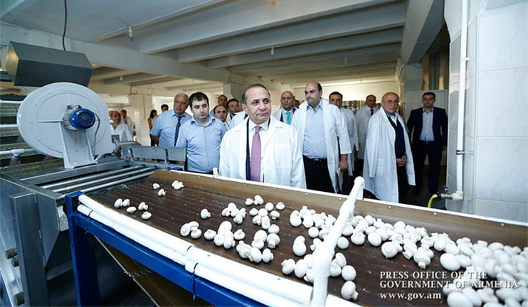 The Prime Minister examined the work of the factory which became a reason for the complaints of the villagers