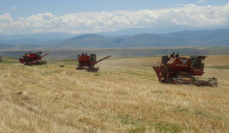 They have difficulty in turning the rich grain harvest into flour in Lori region