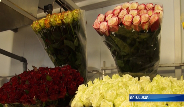 Longevity as main advantage of Armenian roses