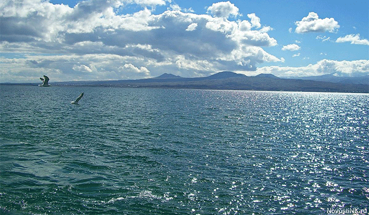 Fish resources of Sevan replenished with the help of Syunik’s fish breeders