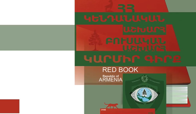 Ավելի քան 3,5 մլն դրամի վնաս՝ շրջակա միջավայրին