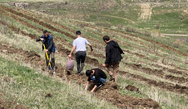 Առողջապահության նախարարության աշխատակիցները Շիրակի մարզում մասնակցել են համապետական ծառատունկին