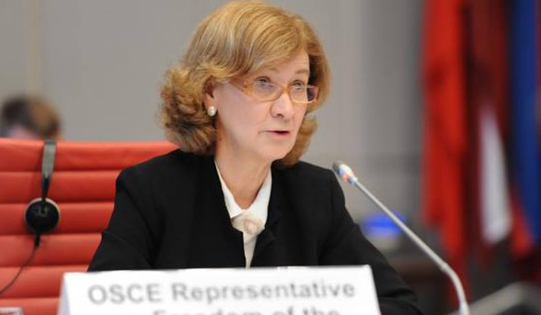 OSCE Media Freedom Representative concerned over increasing attacks on journalists in Turkey