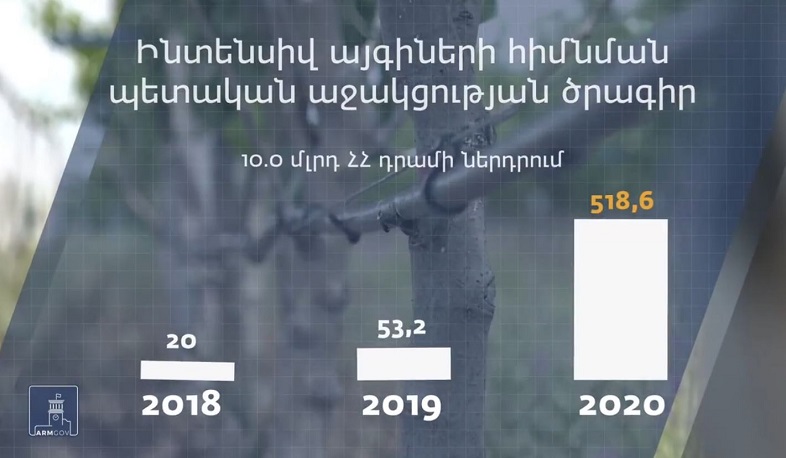 Ինտենսիվ այգիների հիմնման պետական աջակցության ծրագրով կատարվել է 10 մլրդ դրամի ներդրում. Ավինյանը տեսանյութ է հրապարակել