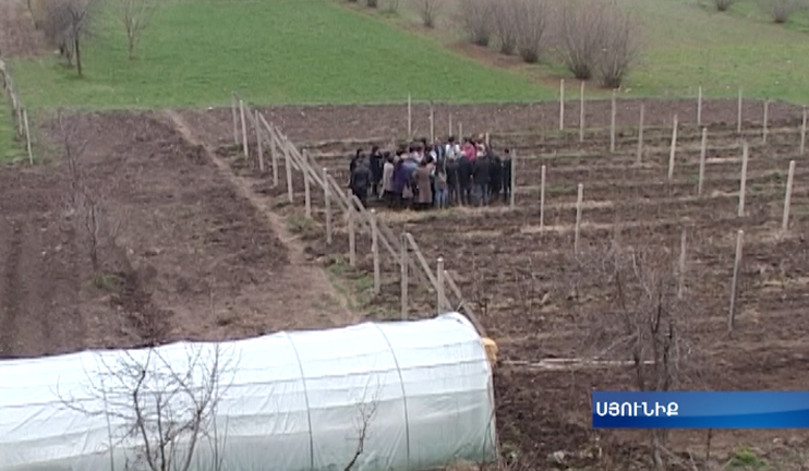 Kapan women-farmers develop blackberry business