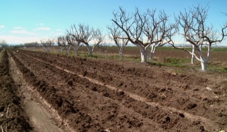 Hovtamej shares its gardening skills and nuances