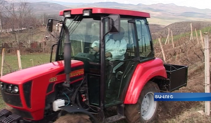 Twenty gardeners join the new-found agricultural cooperative in Aygehovit