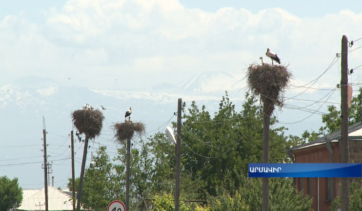 Երկնքին նայելիս