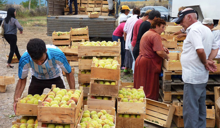 Agro markets in Yerevan over the weekend