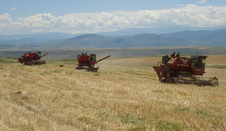 Gegharkuni region grain harvest registers high results