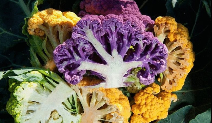 Myths and facts on cauliflower