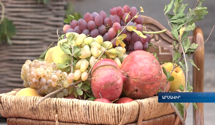 Մաճառի տոն Մրգաշատում