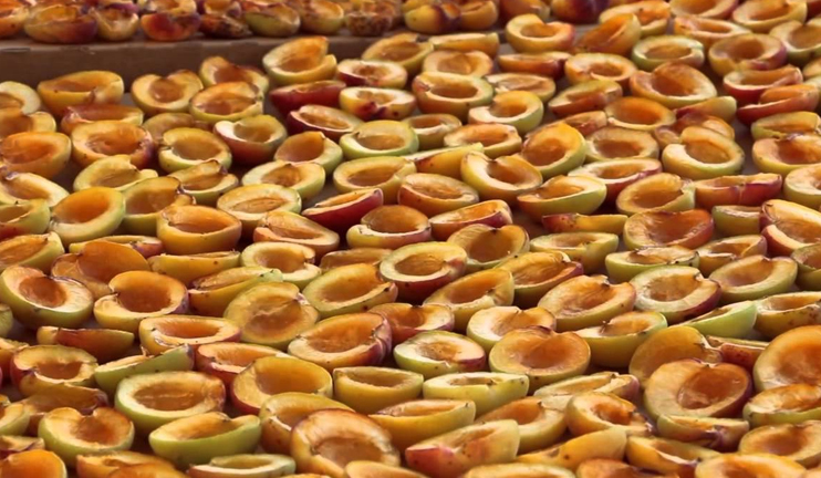 Dried fruits export  four times exceeds the import