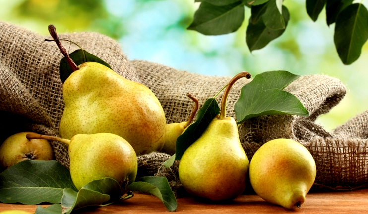 Myths and facts on pear