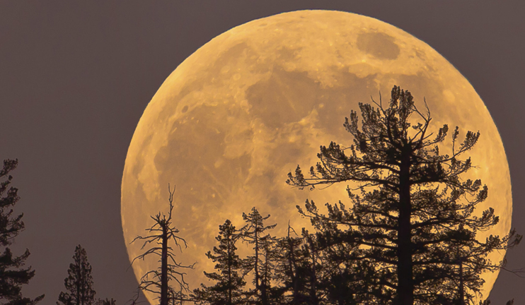 Supermoon: next time to appear in 20 years