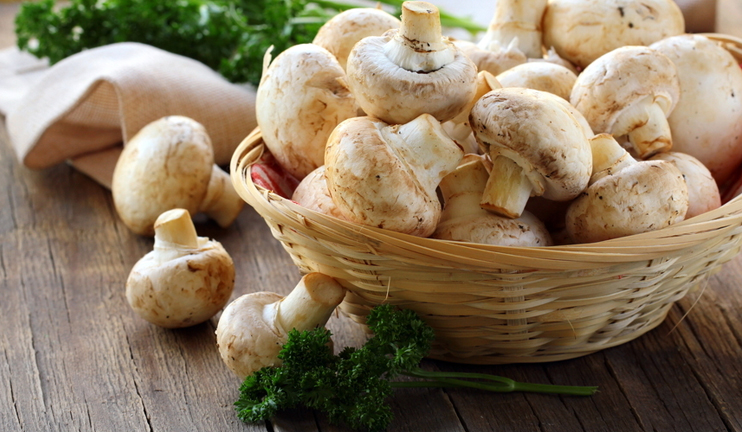 Myths and facts on champignon