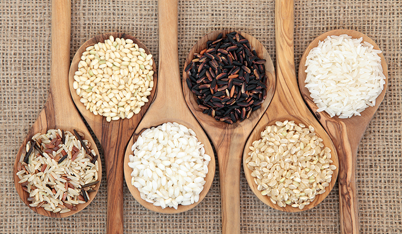 Myths and facts on rice