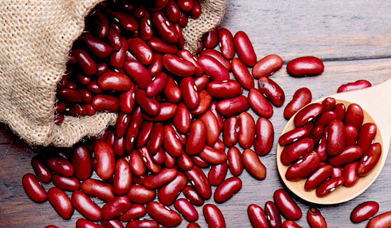 Myths and facts on red kidney beans