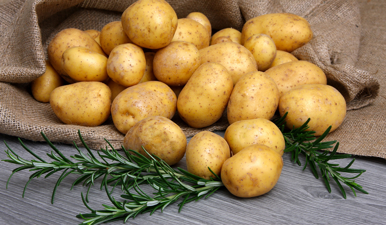 Myths and facts on potatoes