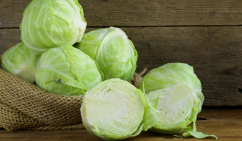 Myths and facts on cabbage