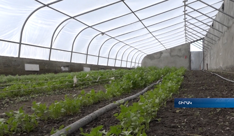 Solar greenhouse in Shirak