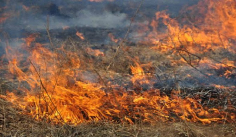 Fire in the Khosrov Nature Reserve is contained.