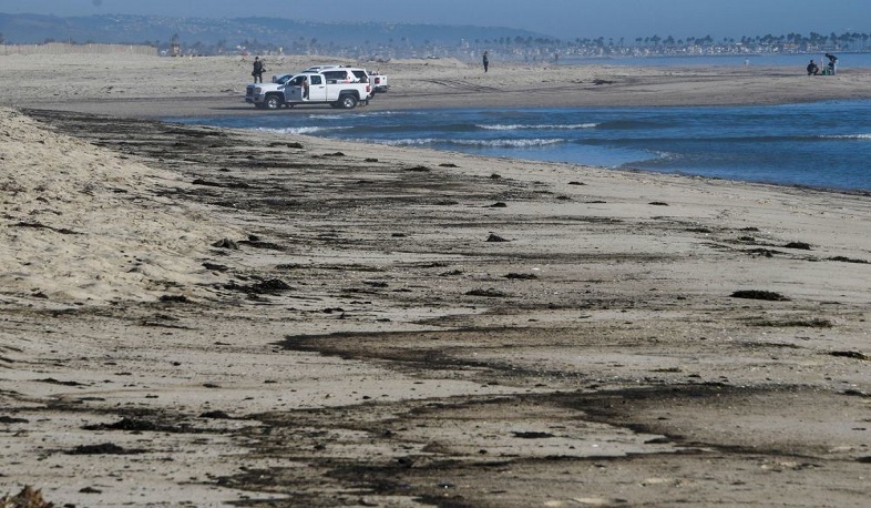 Huntington Beach: California oil spill sparks concern for wildlife