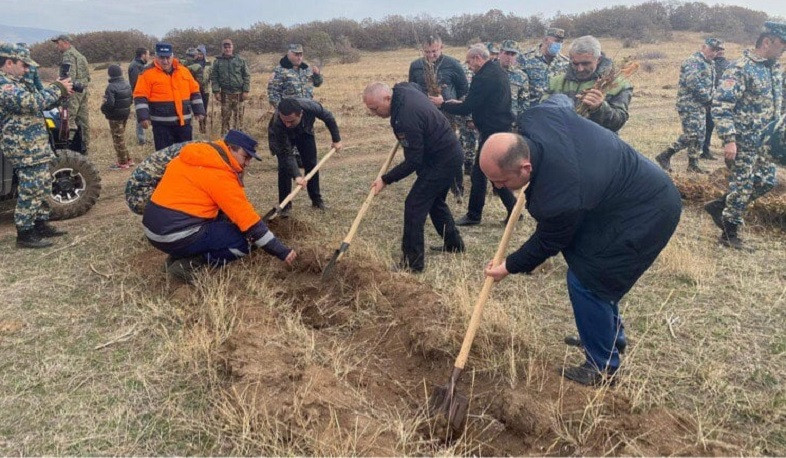 Բյուրականի անտառպետությունում շուրջ 2000 հացենու շիվ տնկեցինք. Ռոմանոս Պետրոսյան