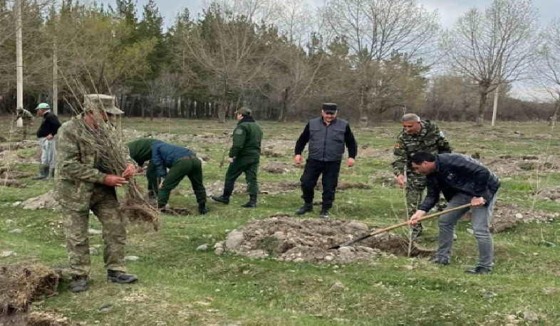 «Սևան» ազգային պարկում մեկնարկել է ծառատունկ