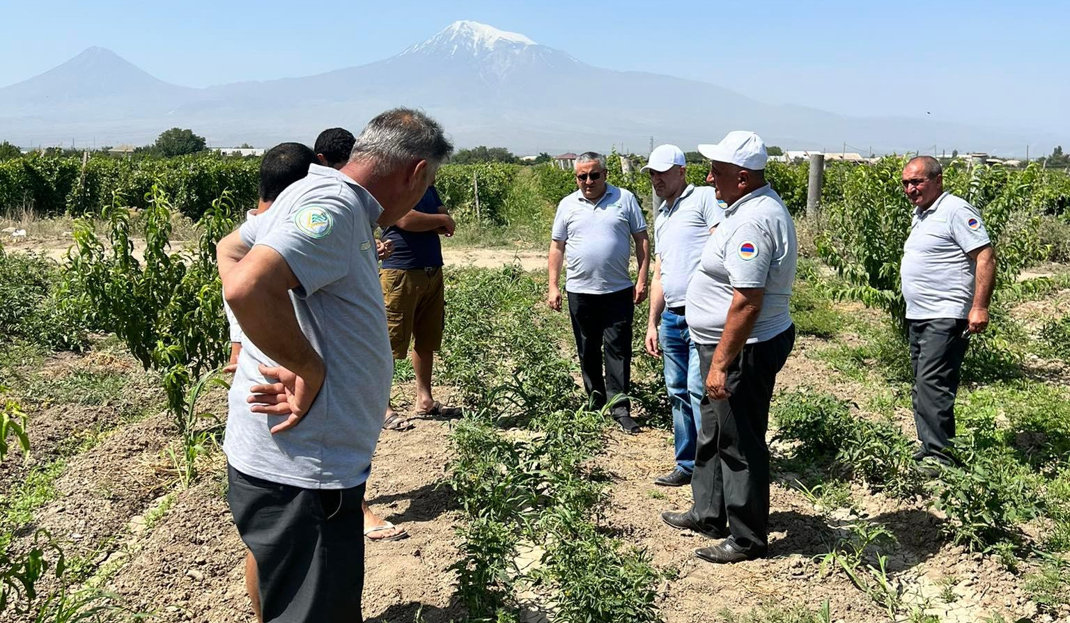 Բույսերի պաշտպանության միջոցառումները՝ ՍԱՏՄ առաջնահերթություն