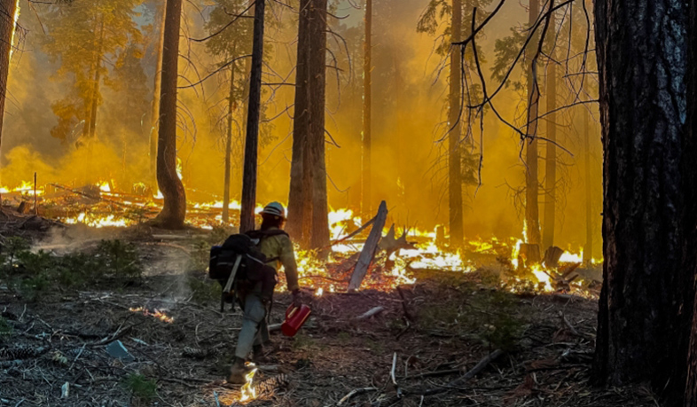 Firefighters respond to massive wildfire burning in Zaragoza region