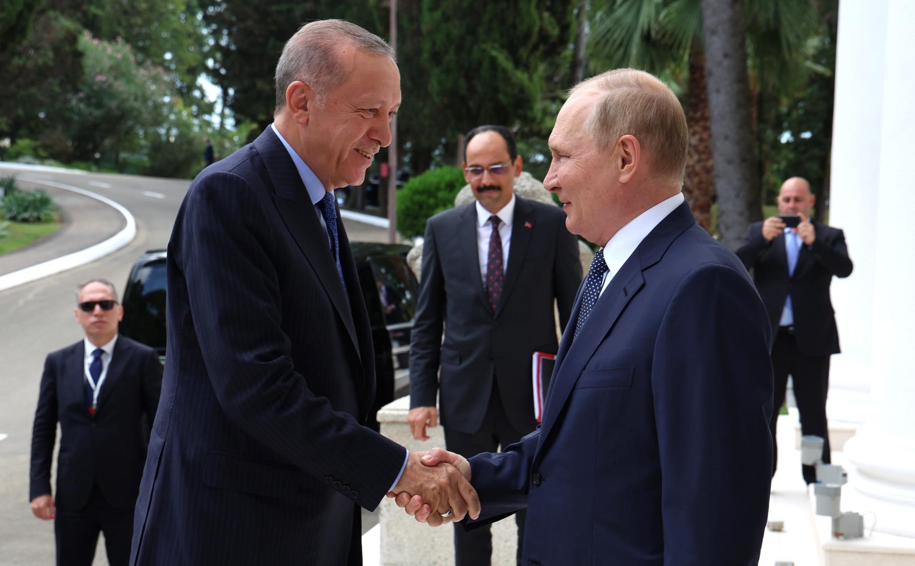 Turkey ready to host Putin-Zelensky meeting, Erdogan