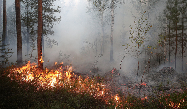 Russia Deploys More Firefighting Planes As Forest Fires In Siberia Spread