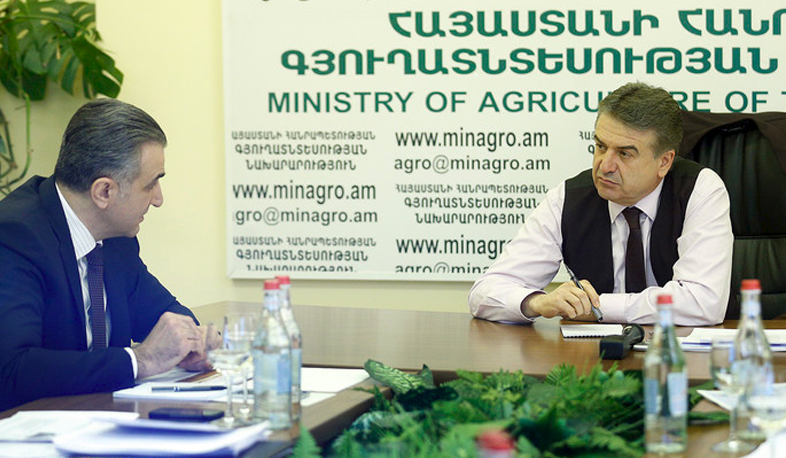 Prime Minister: reduce import of seeds, instead develop Gyumri breeding station