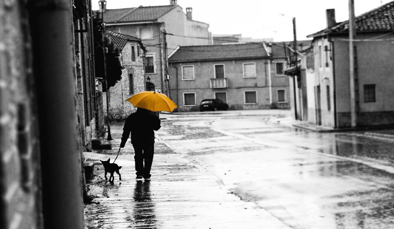 Strong wind and rain forecast in some of the regions