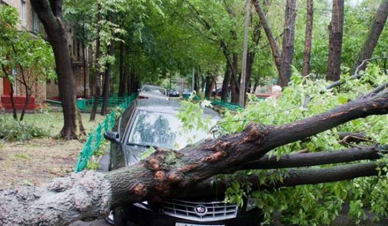 Moscow storm leaves 11 people dead