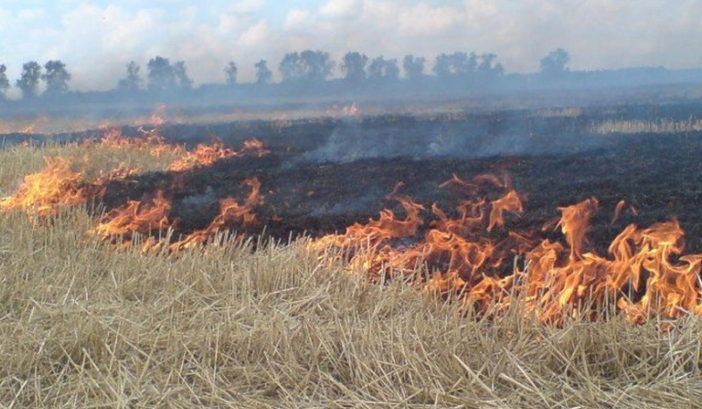 Azeris set their own fields on fire