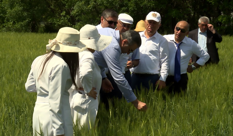 Perspectives and investors to develop field-crop cultivation in Shirak region