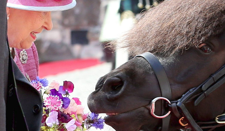 Flower-lover pony and Elisabeth II