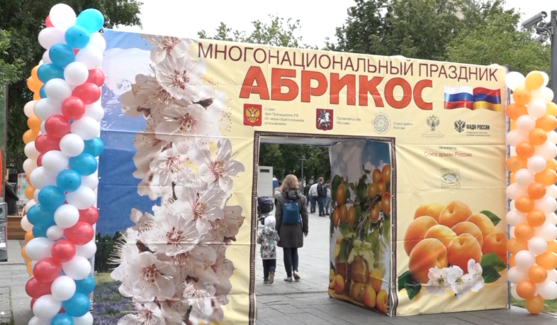 “Armenian Apricot” festival unites all RF nations