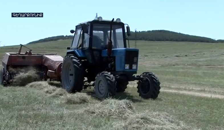 Gegharkunik: consequences of lasting drought