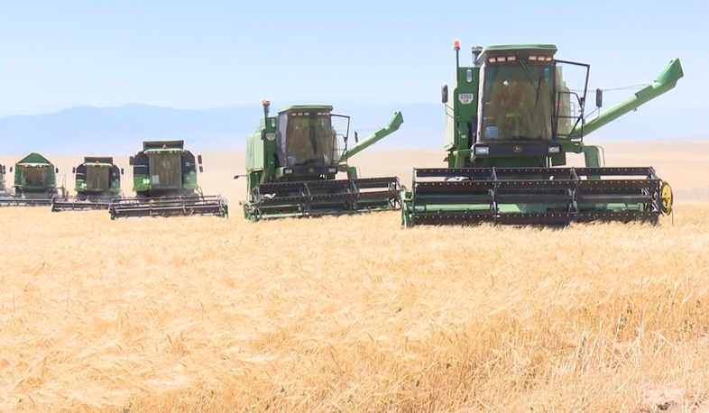 Record grain harvest in Artsakh